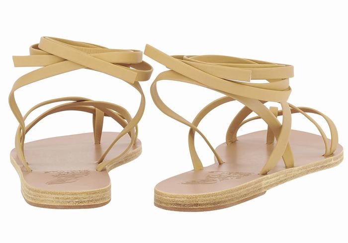 Sandales De Gladiateur Ancient Greek Sandals Morfi Leather   | TNF-8222136